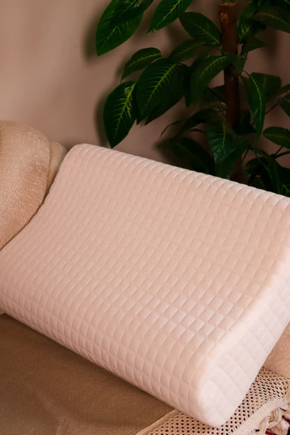 مخدة كونتور بلس